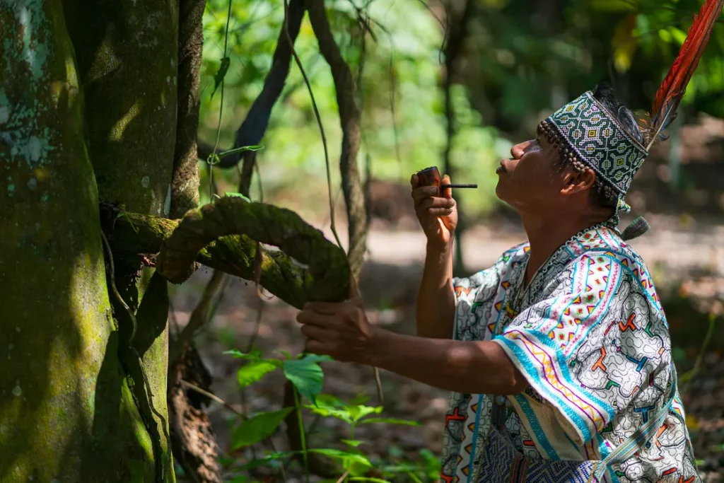 Master Plant Dieta   Beyond Sapiens   Mokapari Nete   Maestro Pervis  Ayahyasca